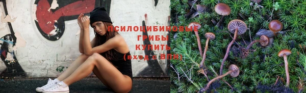 марихуана Новозыбков