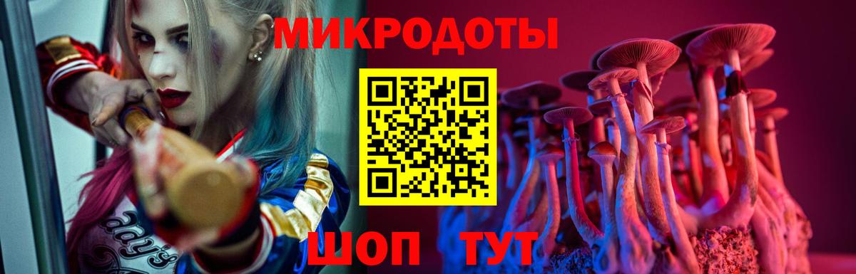 наркошоп  Вход с VPN  Миасс  Псилоцибиновые грибы Psilocybine cubensis 